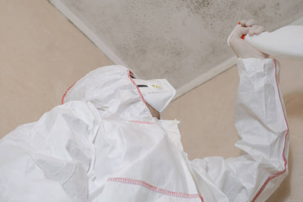 Best Emergency Mold Remediation in Pottstown, PA
